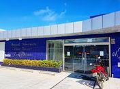 Hospital veterinário é condenado por negligência após morte de cadela em Maceió