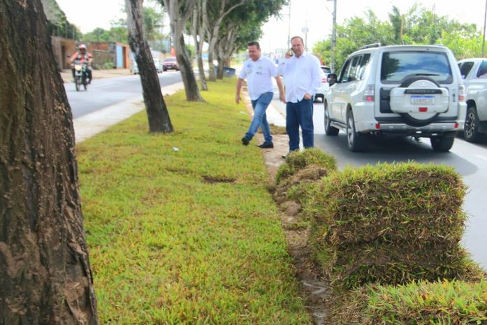 Canteiros da Avenida Ceci Cunha recebem plantio de grama