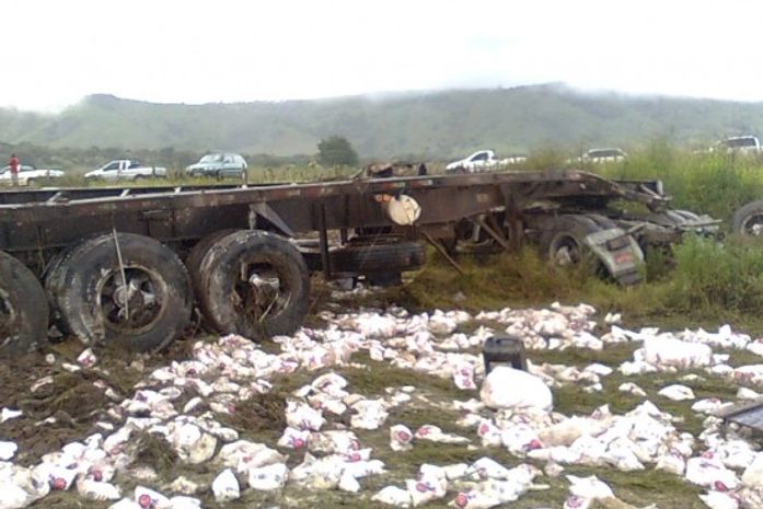 Morre quarta vítima de acidente em Palmeira