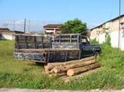 Agentes da Polícia Civil apreendem toras de madeira em Santana do Mundaú