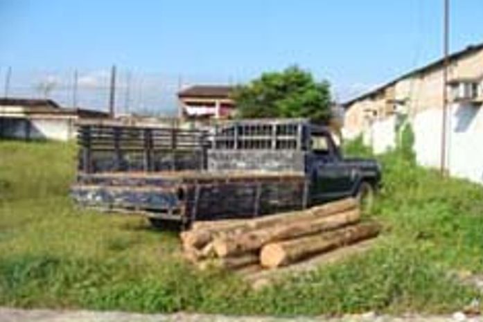 Agentes da Polícia Civil apreendem toras de madeira em Santana do Mundaú