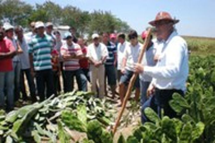 Projeto Alagoas com a Palma na Mão apresenta resultados na Expobatalha