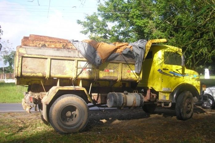 BPA apreende caminhão carregado de madeira em Rio Largo