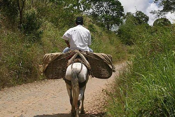 Alagoas tem o pior indice de distribuição de terras do Brasil