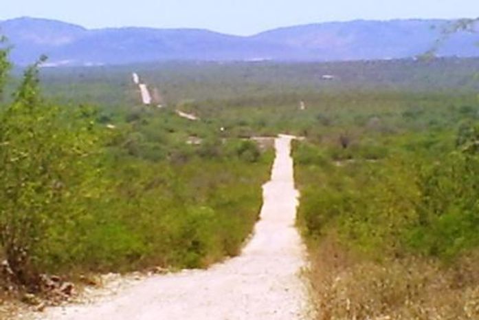 BR-316 onde aconteceu a troca de tiros.