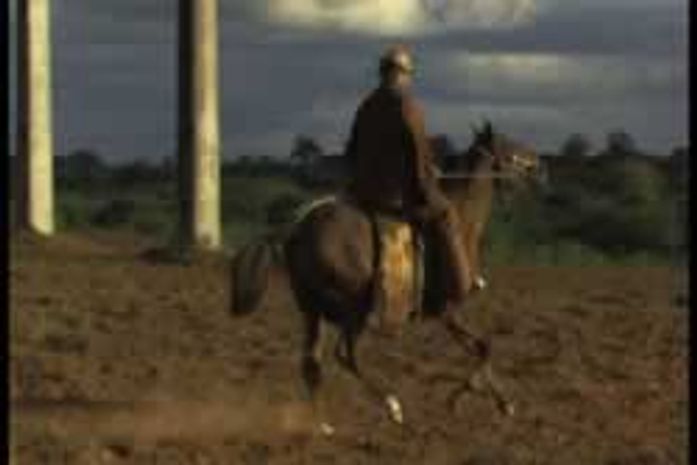 Abertura da Semana Delmiro Gouveia será com o filme Lá Vem o Juvenal