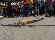 Homem é assassinado a tiros em feira na cidade de Palmeira dos Índios