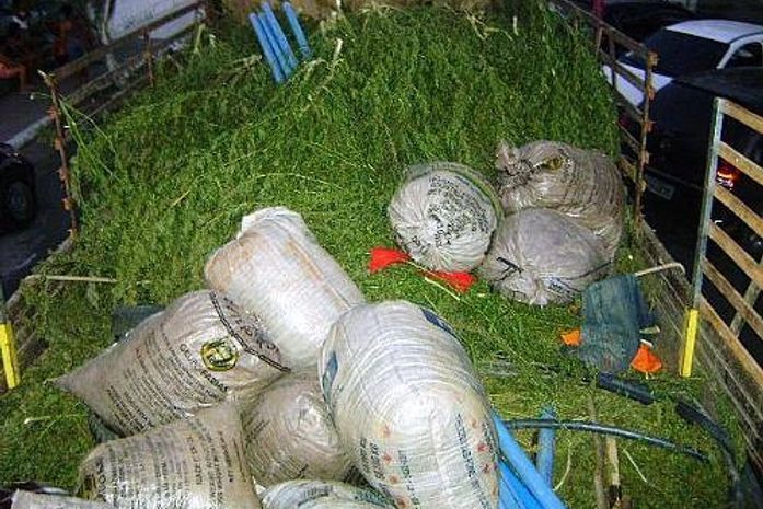 Um caminhão foi ultilizado para recolher a drogra.