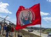 Sem-teto começam a desocupar área em Ibateguara