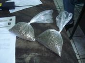 PC flagra como entrava droga em delegacia