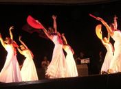 Flamenco é destaque na programação da Educativa FM