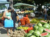 Feira Camponesa percorre bairros de Maceió e outros municípios