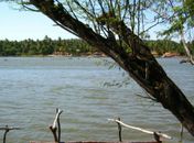 Prefeito realiza arrastão ambiental para despoluir Lagoa Manguaba