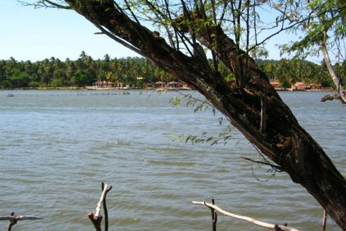 Prefeito realiza arrastão ambiental para despoluir Lagoa Manguaba