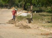 Prefeitura de Penedo realiza grande mutirão da limpeza