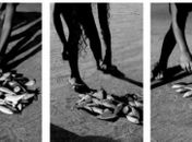 Exposição de fotografias de Tchello d?Barros na Galeria de Artes do SESI