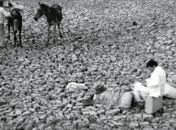 Inspirado na obra de Graciliano Ramos e rodado em Viçosa, clássico S. Bernardo encerra programação da Sesi Brasil 