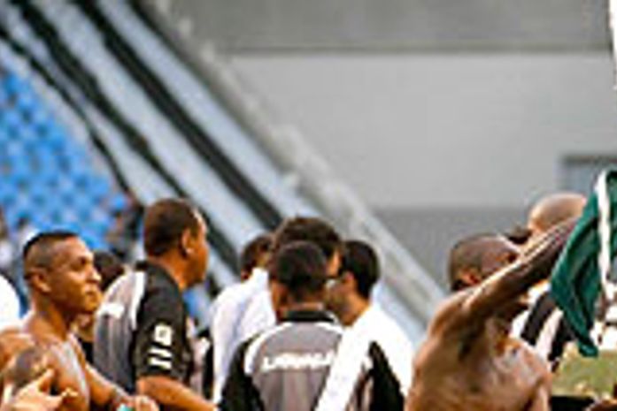 Botafogo vence por 2 a 1, foge da degola e tira o Palmeiras da Libertadores