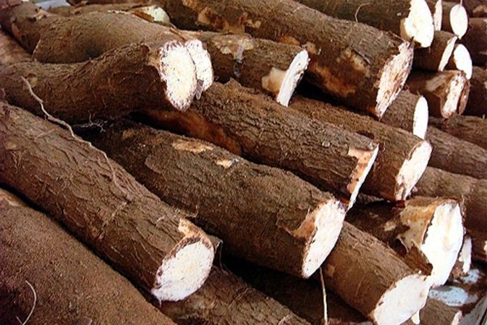Encerrado em Arapiraca seminário para busca de alternativas alimentares