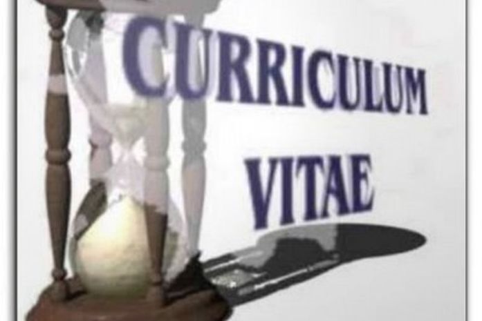 Informações do currículo não podem estar duplicadas; veja análise