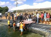 Despesca em Estrela de Alagoas beneficia centenas de famílias