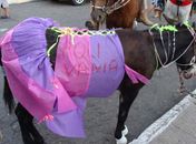 Corrida do Jumento movimenta final de semana em União 