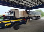 Sertão: PRF apreende carga com madeira sem licença na BR-423

