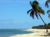 Alagoas está entre os destinos turísticos mais visitados do Brasil