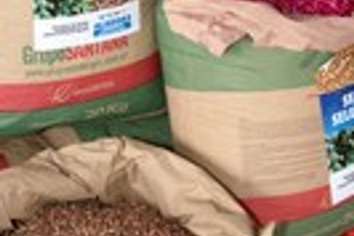 Sementes de milho,algodão,sorgo,feijão,mamona e arroz estão no programa de governo