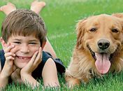 Que tal educar seu filho como se fosse cachorro?