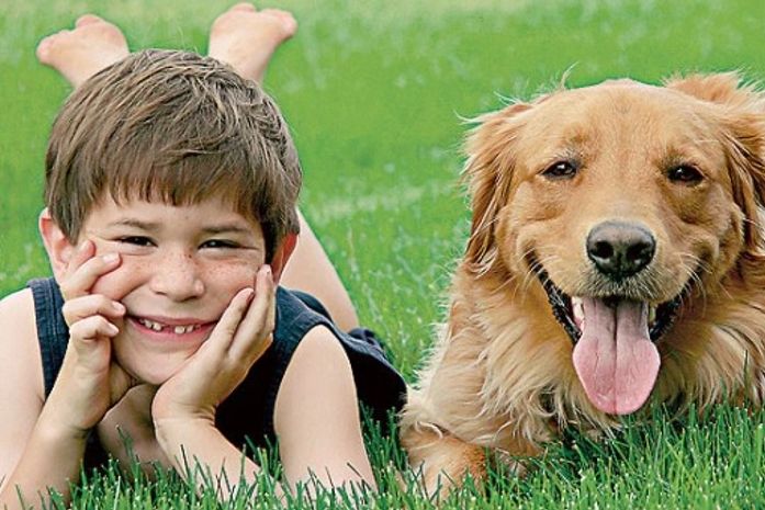 Que tal educar seu filho como se fosse cachorro?