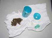 Mulher tenta levar maconha para namorado em delegacia de São Miguel dos Campos