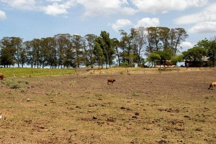 Minador do Negrão e Olho d'Água do Casado têm situação de emergência reconhecida pelo governo federal