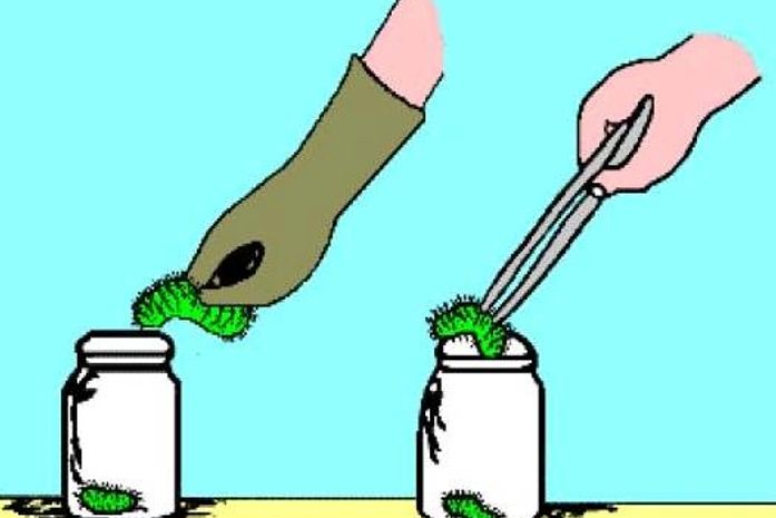 Almagis culpaTribunal de Justiça por processo da Operação Taturana está parado