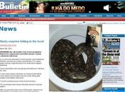 Australiano encontra cobra de mais de 2 metros no vaso sanitário