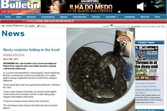 Australiano encontra cobra de mais de 2 metros no vaso sanitário