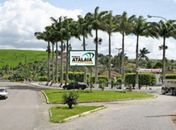 Ibrape/CadaMinuto: Em Atalaia, ex-prefeito Zé do Pedrinho na frente