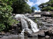 Município de Viçosa abriga mata atlântica e cachoeira de rara beleza