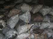 Batalhão Ambiental apreende carvão ilegal no centro de Penedo