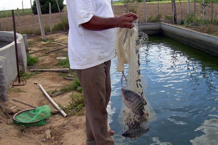 Alto sertão alagoano é beneficiado com plantas e peixes