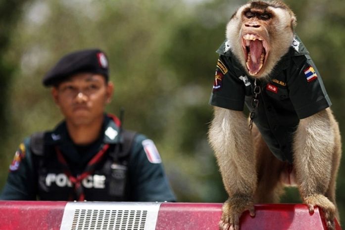 Santisuk, que significa paz em tailandês, ganhou uniforme com seu nome