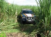 Viatura da Polícia Rodoviária Federal cai em ribanceira