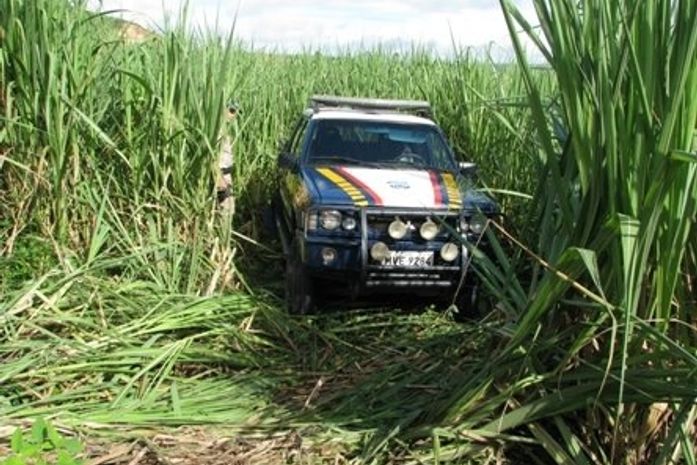 Viatura da Polícia Rodoviária Federal cai em ribanceira