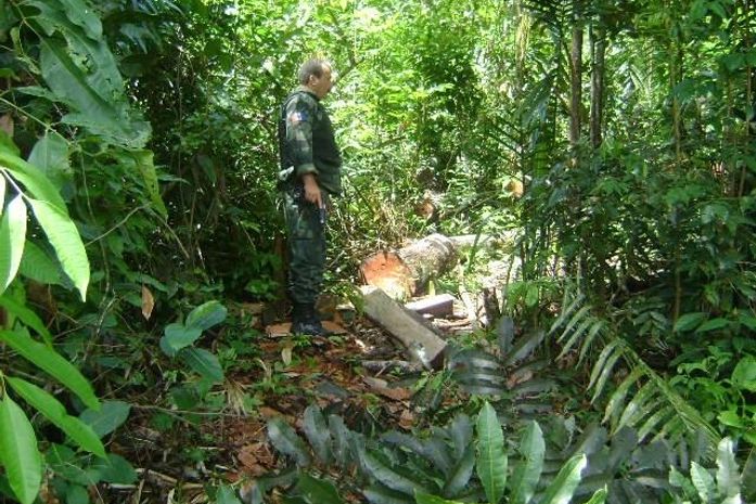 Policiais são recebidos a bala durante ocorrência ambiental em fazenda