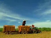 Pelo menos 5 órgãos abrem inscrições nesta segunda-feira