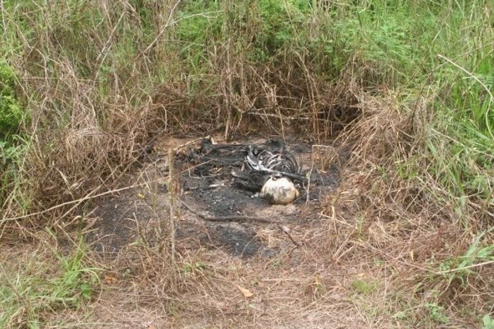 Ossada humana é encontrada carbonizada em Penedo