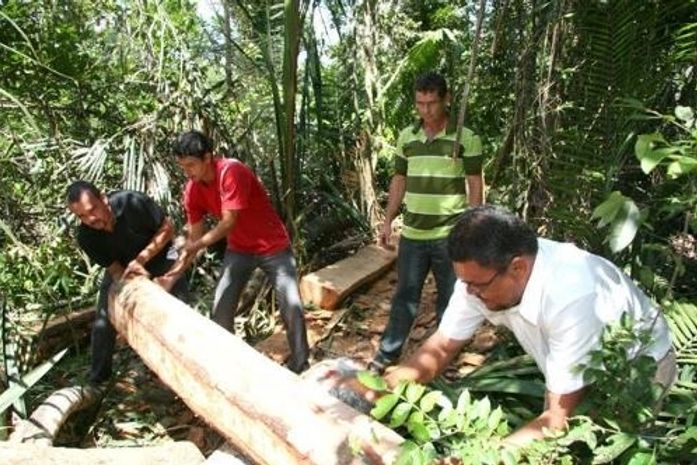 Operação apreende madeira, motos serras e machados em Marechal Deodoro