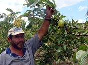 Agricultores serão atendidos em União dos Palmares nesta quinta