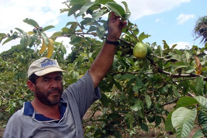 Agricultores serão atendidos em União dos Palmares nesta quinta