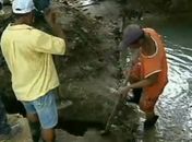 Técnicos recuperam nascentes usadas por agricultores de Alagoas